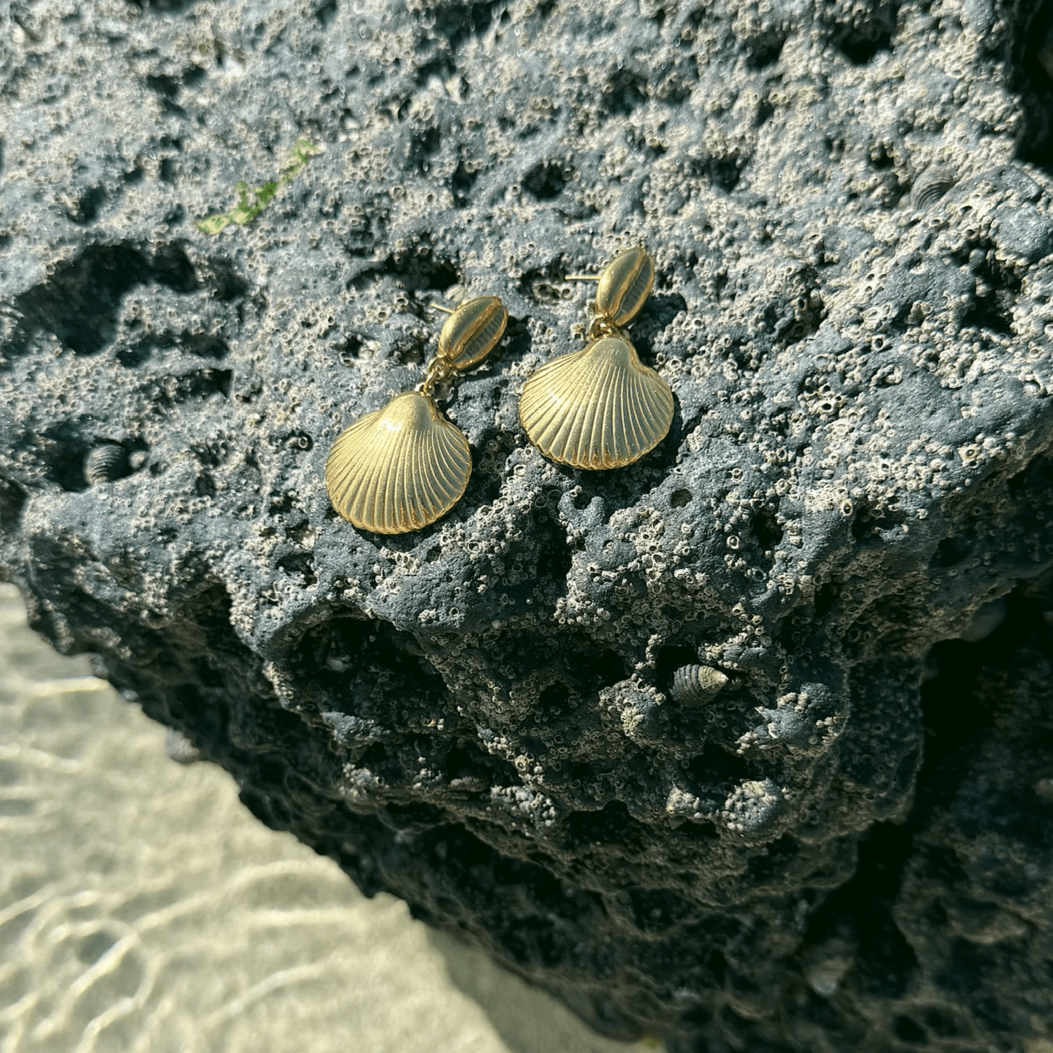 Bohomoon Stainless Steel Bahamas Stud Earrings